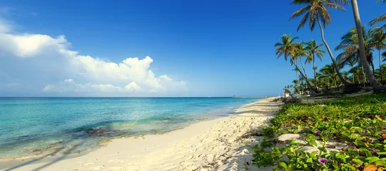 Foto op Plexiglas Tropical shores of  Dominican Republic. © Vladimir Sazonov