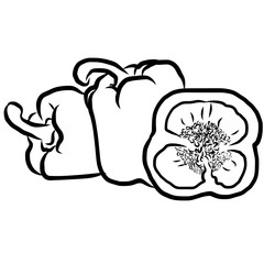 Paprika Sketch Vegetables Outline Vector Artwork