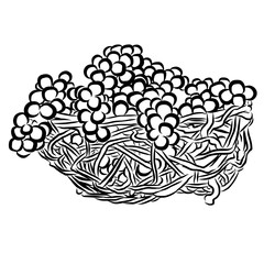 Grapes Sketched Outline Vector Illustration