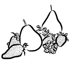 Pear and Strawberry Sketched Outline Vector Illustration