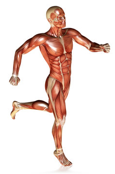 3d render of a male figure running