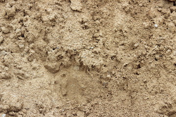 texture of a major construction sand