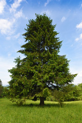 Mountains Pieniny in Slovakia and Poland © luzkovyvagon.cz