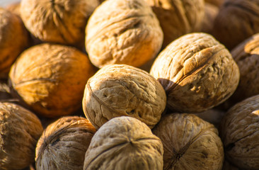 Circassian walnuts in plate