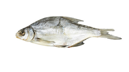 Dried fish on a white background