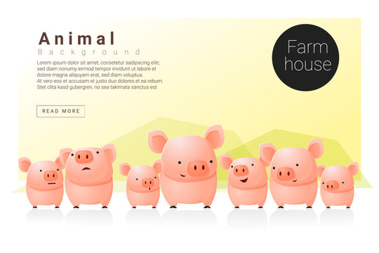 Animal banner with Pigs for web design , vector , illustration
