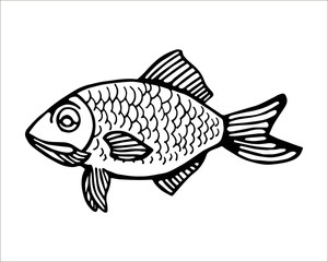 a fish