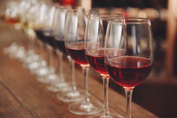 Many glasses of different wine in a row on bar counter