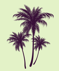 Palm trees in contours - 114006834