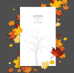 White blank on autumn background
