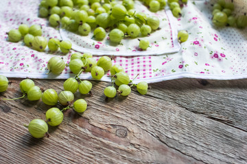 gooseberries .agrus

