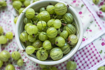 gooseberries .agrus

