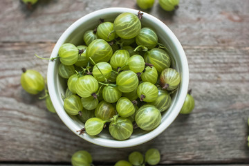 gooseberries .agrus


