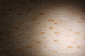 Brick wall background with shadow