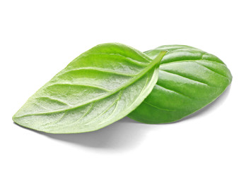 Basil leaves, isolated on white