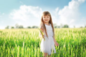 Fototapeta na wymiar Little girl on the meadow