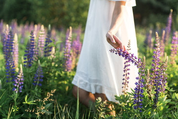 beautiful young woman in flower field