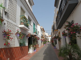 Fototapeta na wymiar Espagne - Andalousie - Rue typique de la vieille ville