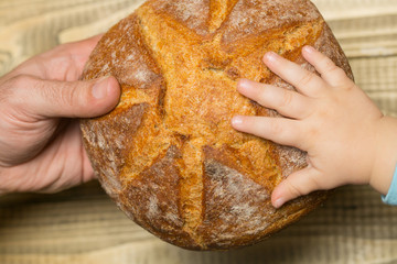 Round loaf of homemade bread