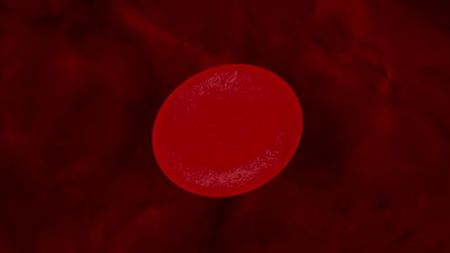 rotes Blutk&ouml;rperchen rotiert im Blutkreislauf - Loop 4K 3D Animation