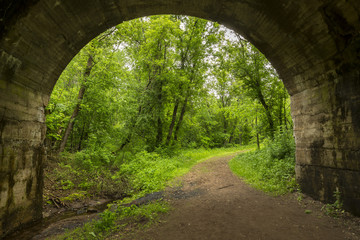 Fototapeta na wymiar Arch Bridge Hiking Trail