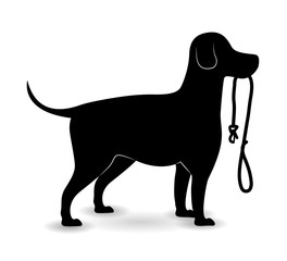 Pet design illustration