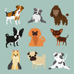 Obraz na płótnie Canvas Pet design illustration
