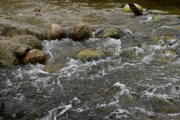 Small stream over rocks with a grass bank in Khiriwong Sichon ,Nakhon Si Thammarat, Thailand