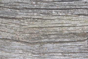 Fototapeta premium grunge old wooden texture