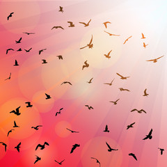 Birds, seagulls black silhouette on pink background, sunset, dawn. Vector