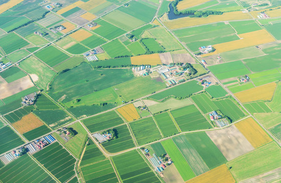 Aerial View From Airplane Of Agriculture Field In Summer At Chitose Hokkaido Japan