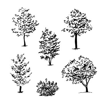 Set of isolated hand drawn tree sketches