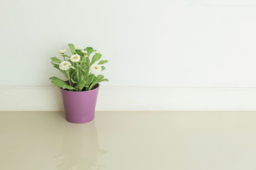 Closeup artificial plant with white flower on purple pot on blurred marble floor and white cement wall textured background