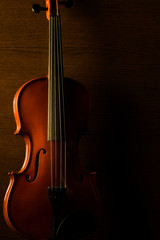 Fototapeta premium Violin