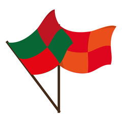 football referee flags