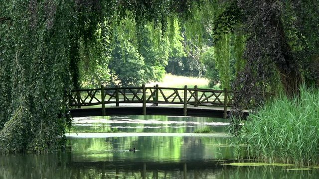 Romantic small wooden walking bridge over pond located at green silent quiet scenery trees foliage branches hanging all over both sides of small bridge green surroundings of lake quiet water 4k