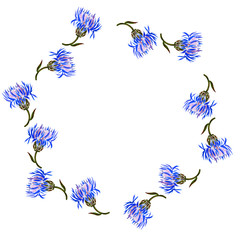 round frame with watercolor drawing cornflowers