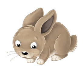 Cartoon rabbit - painted style good for fairy tale - isolated - illustration for children