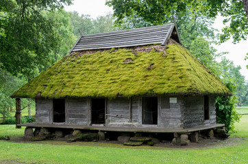 Fototapeta na wymiar The old barn with a lot of moss on the roof