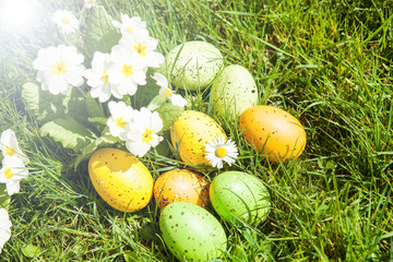 œufs colorés dans l'herbe à pâques 