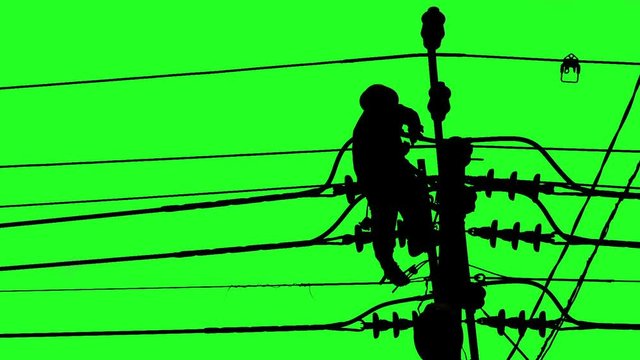 Silhouette of an electrician climbing a newly installed utility pole, Green screen
