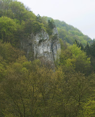 Fototapeta premium white rocks near Cracow - Poland
