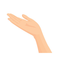 Vector of Beautiful female open hand isolated on a white background 