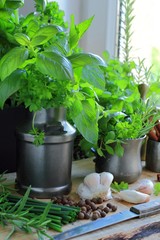 Fresh herbs in the kitchen