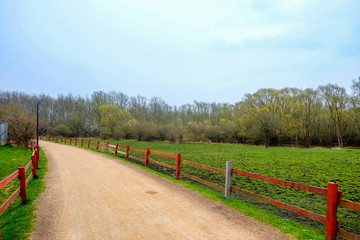 A walk path in the rural area of copenhagen,