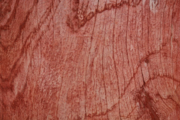 Obraz premium Old wood texture background