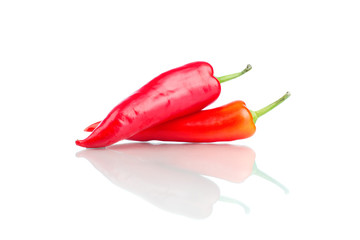 Two hot peppers isolated on white background