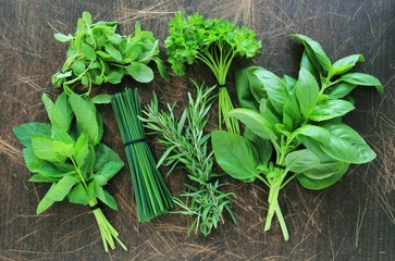 Collection of fresh herbs on wooden background