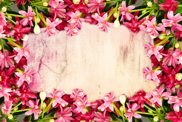 pink flower border and frame in vintage color for valentine background and wedding card