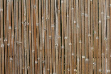 Wand aus Bambusstöcken